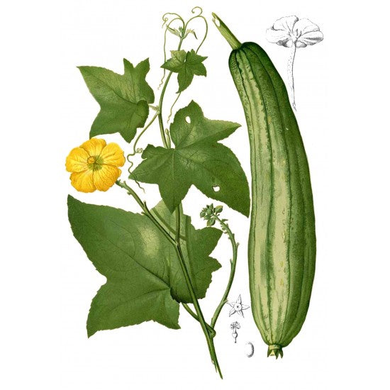 Seifenablage Luffa